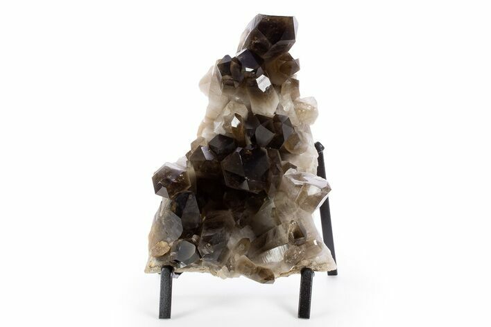 Dark Smoky Quartz Crystal Cluster on Metal Stand - Brazil #330460